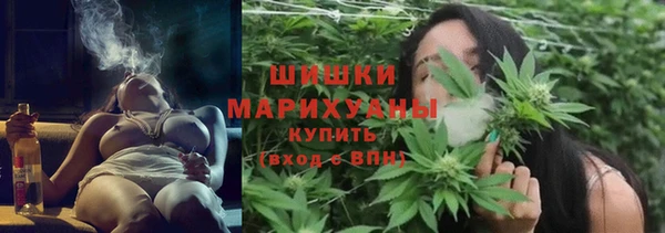 твердый Богданович