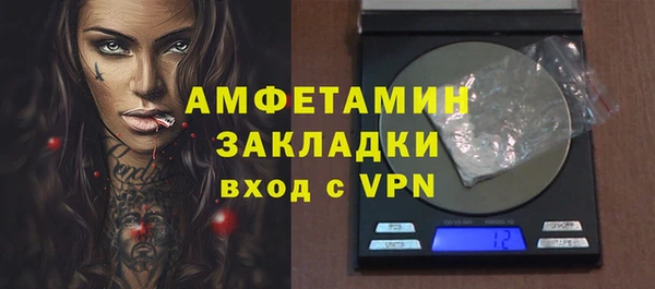 стаф Губаха