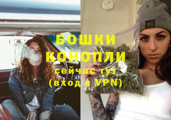 твердый Богданович