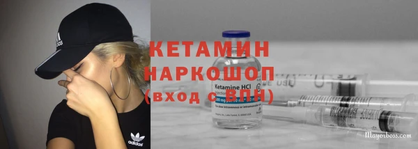 твердый Богданович