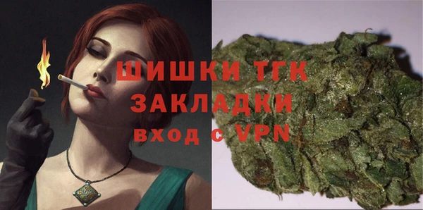 твердый Богданович